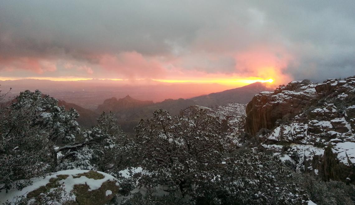 Coveted by southern Arizona residents as refuges from the summer heat, the sky island mountain ranges are hot spots of biodiversity. Coveted by southern Arizona residents as refuges from the summer heat, the sky island mountain ranges are hot spots of biodiversity.